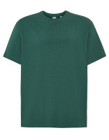Mexican Green