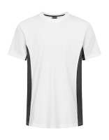 White, Charcoal (Solid)